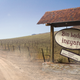 Illustration for article titled Bin Laden Vineyard Falling Into Disrepair